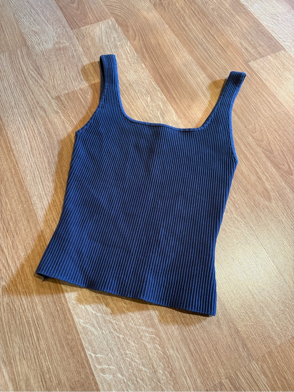 Aritzia Babaton Scult Knit Tank Blue